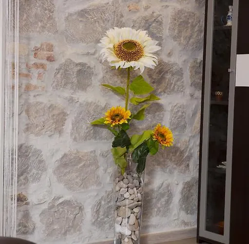 U Srcu Grada - Ilicev Prolaz * سبليت