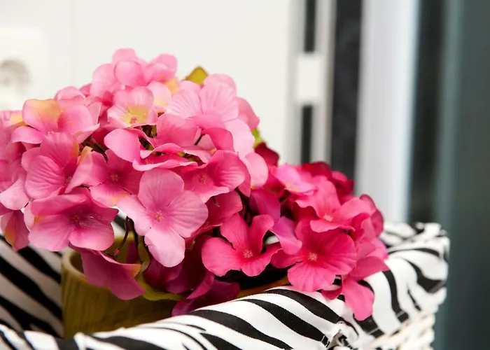 U Srcu Grada - Ilicev Prolaz * سبليت